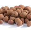 Bille d'argile 10/20 mm 8kg/20l