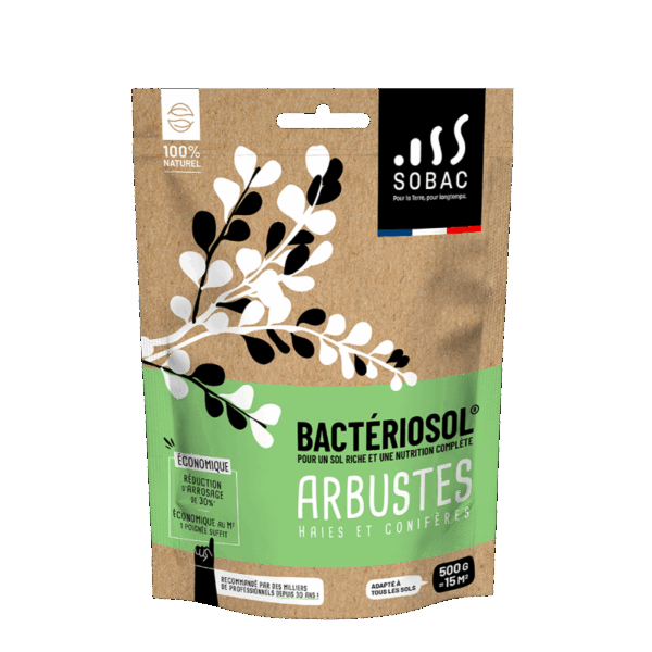 BACTERIOSOL – Image 2