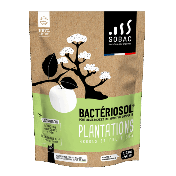 BACTERIOSOL